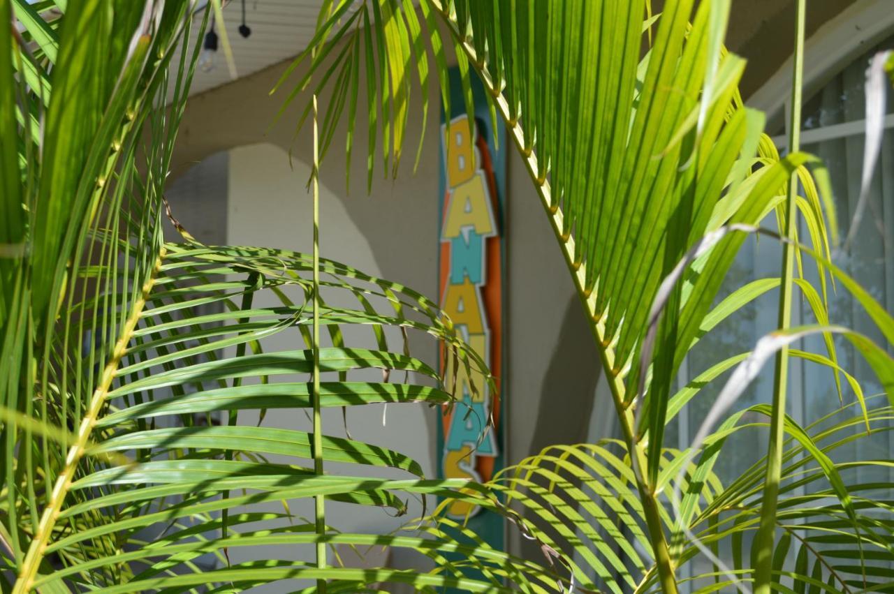 Bananas Apartments Adults Only Palm Beach Exterior foto